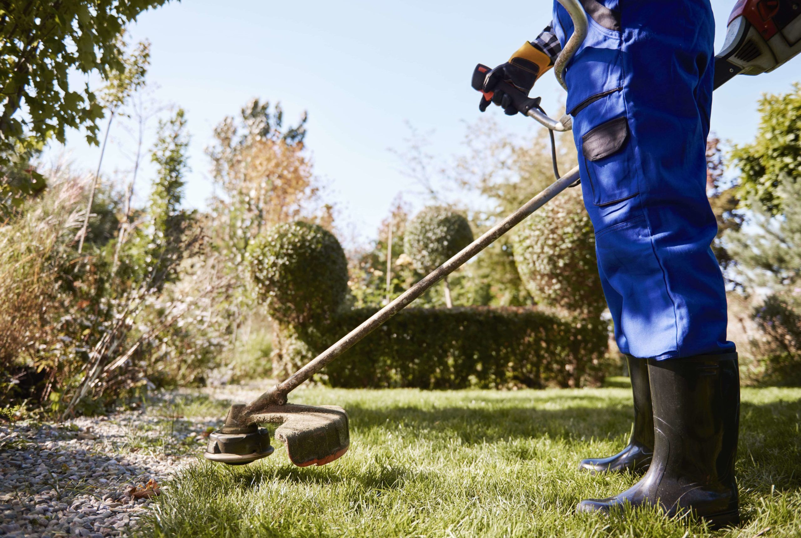 curso jardineria y paisajismo objetivos