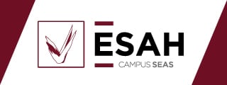 esahweb